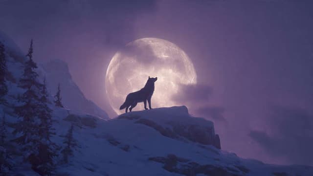 Blog article illustration